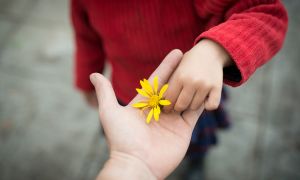 hábito de la gratitud